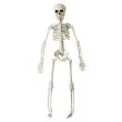 dekoracja szkielet widmann 40 cm