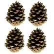 dekoracja szyszki pinus nigra aliga 4 szt