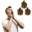 dekoracja szyszki pinus pinea aliga 3 szt