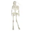 dekoracja wiszaca szkielet bialy 33 cm