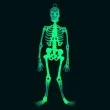 dekoracja wiszaca szkielet fluorescencyjny partypal 33 cm