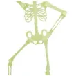 dekoracja wiszaca szkielet ruchomy i swiecacy w ciemnosci widmann 92 cm