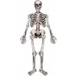 dekoracja wiszaca szkieletor godan 135 cm