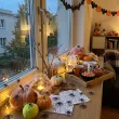 dekoracje na halloween andrzejki pajaki czarne partydeco 10 szt