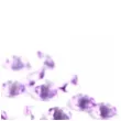 diamentowe konfetti 12mm lawenda 100szt 1op