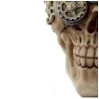 figurka czaszka steampunk z irokezem puckator 20 x 18 cm