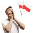 flagi na patyczku polska arpex 30 cm 2 szt