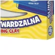 glina dla dzieci samoutwardzalna biala astra 460 g