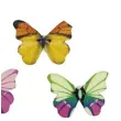 guziki barwne motyle mix titanum 8 szt
