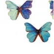 guziki barwne motyle mix titanum 8 szt