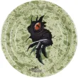 jednorazowe naczynia na urodziny talerzyki papierowe jurassic world jajo dinozaura 23 cm x6
