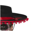 kapelusz sombrero dia de los muertos smiffys