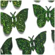 konfetti holograficzne motyle zielone 15g 1op