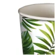 kubeczki papierowe liscie palmy i monstera guirca 240 ml 6 szt