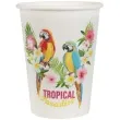 kubeczki papierowe tropical summer santex 250 ml 10 szt