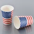 kubeczki papierowe usa party santex 270 ml 8 szt