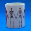 kubek anatomiczny