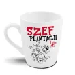 kubek szef plantacji bgtech 300 ml