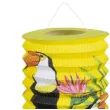 lampion papierowy tukan godan 16 cm 2 szt