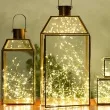 lampki mikro led biale dekoracjepolska 3m