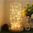 lampki mikro led biale dekoracjepolska 5m