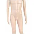 manekin meski calopostaciowy godan 180 cm