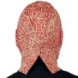 maska freddy krueger lateksowa widmann