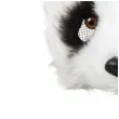 maska panda pluszowa boland