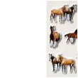 naklejki konie kreskowkowe foliowe brazowe titanum ok 3 5 cm 18 szt