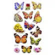 naklejki motyle wielobarwne mix titanum 14 szt