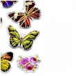 naklejki motyle wielobarwne mix titanum 14 szt