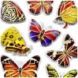 naklejki motyle wielobarwne mix titanum 14 szt