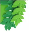 naklejki piankowe liscie paproci grabu i gladkie zielony titanum 20 szt