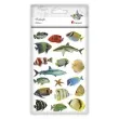 naklejki ryby kolorowe mix titanum 18 szt