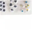 oczka ruchome aliga mix