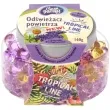 odswiezacz powietrza tropical lavenda i rumianek kulki ravi 160 g