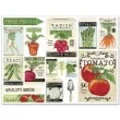 papierowa podkladka warzywa paw 40x29 24 szt
