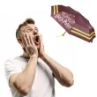 parasolka harry potter bordowa cerda