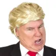 peruka party donald trump blond fries