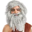 peruka party jaskiniowiec z broda szare fyasa