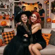 peruka party pippi zombie ruda maxx10group