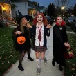 peruka party pippi zombie ruda maxx10group