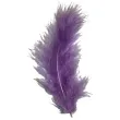 piorka dekoracyjne classic geste fioletowe titanum 20 szt