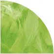 piorka dekoracyjne classic zielone jabluszko titanum 16 g