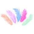 piorka dekoracyjne dlugie kolorowe partypal 10 15 cm 50 szt