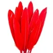 piorka dekoracyjne lotki czerwone czakos 18 szt