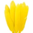 piorka dekoracyjne lotki krotkie zolte czakos 18 szt