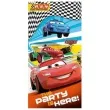 plakat cars 70 x 160 cm