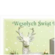pocztowka wesolych swiat stroik zielony maki a6