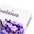 podgrzewacz zapachowy lawenda true scents fioletowy bolsius 38 mm 6 szt